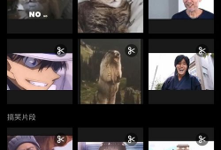 平果视频,揭秘短视频时代的魅力与挑战